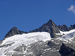 F051056: Gärstenhörner und Gärstengletscher