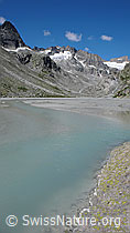 Foto: Gletscherbach in Schwemmebene des Bächlitals