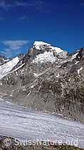F051473: Galenstock am Rhonegletscher