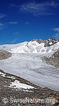 F051474: Dammastock am Rhonegletscher