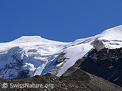 F051665: Weissmies