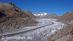 F051983: Aletschgletscher (UNESCO Weltnaturerbe)