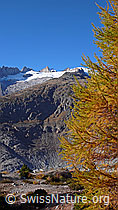 Foto: Herbstbild