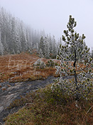 F052547: Märchenlandschaft