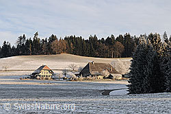 F054352: Stöckli und Bauernhof im Emmental