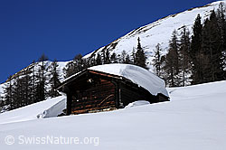 F055518: Winterlandschaft mit Alphütte