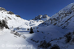 F055682: Licht und Schatten in Winterlandschaft mit Ofenhorn