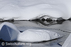 F056084: Schnee und Eis am Ufer