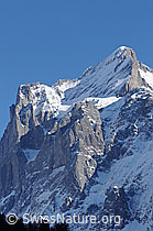 F056207: Scheideggwetterhorn und Wetterhorn