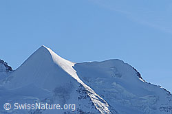 F056301: Silberhorn und Goldenhorn.