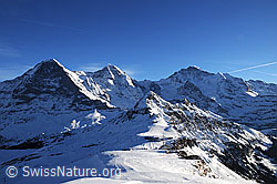 F056324: Dreigestirn Eiger, Mönch und Jungfrau