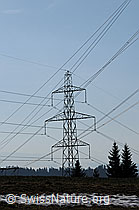 F056666: Hochspannungsmast