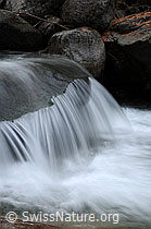 F058018: Langzeitaufnahme Wasser