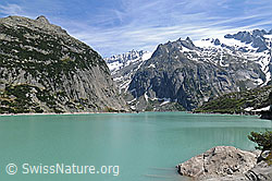 Foto: Gelmersee, Diechterhorn und Tieralplistock