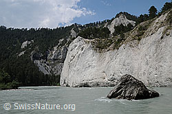 F058770: Flusslandschaft der Rheinschlucht