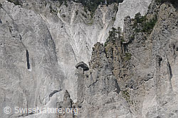 F058774: Felsgrat mit Türmen aus Kalkgestein