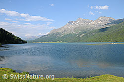 F058805: Silvaplanersee