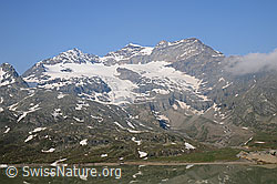 F058817: Berninapass und Piz Cambrena