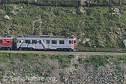 F058822: Lokomotive der Rhätischen Bahn