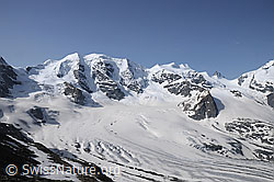F058838: Piz Palü, Piz Spinas, Bellavista, Crast