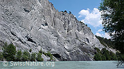 F059170: Vorderrhein
