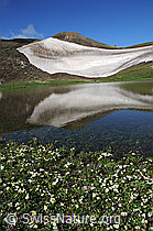 Foto: Schneefeld und Bergsee