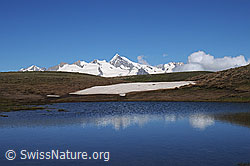 Foto: Geisshorn und Aletschhorn