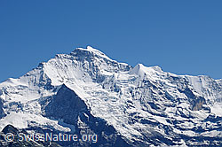 F059808: Jungfrau und Silberhorn