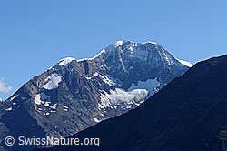 F060387: Weissmies von SW