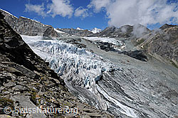F060511: Gletscherzungen von Allalingletscher und Hohlaubgletscher