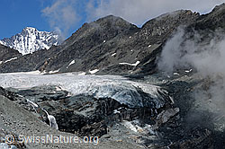 F060521: Gletscherzunge Hohlaubgletscher
