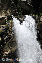 F060563: Bergbäche und Wasserfall