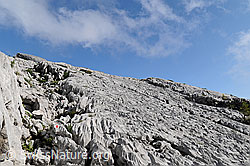 F060882: Karstlandschaft