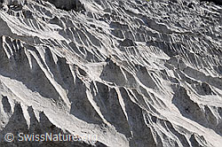 F060885: Karstlandschaft
