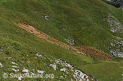 F060947: Erdrutsch