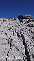 F060987: Karstlandschaft beim Nebelspalter