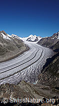 F061052: Grosser Aletschgletscher