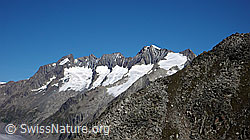 F061084: Walliser Fiescherhhörner
