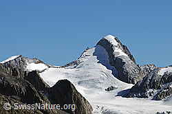 F061108: Oberaarhorn, Studergletscher und Galmigletscher