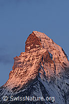 F061175: Morgenstimmung am Matterhorn
