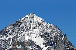 F061200: Portrait Dent Blanche