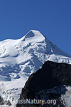 F061231: Castor und Klein Pollux