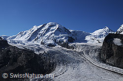F061246: Liskamm und Castor