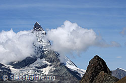 Foto: Matterhorn und Riffelhorn