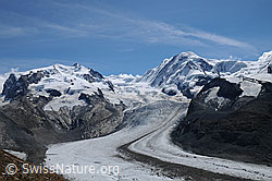 Photo: Monte Rosa, Gornergletscher und Grenzgletscher