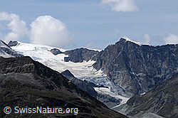 F061325: Tete Blanche, Stockjigletscher und Wandfluehorn