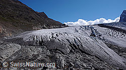 F061355: Gornergletscher