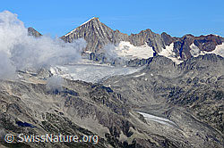 F061427: Minstigergletscher und Oberaarhorn