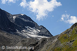 F061526: Ritzhörner und Ritzgletscher