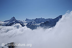 Photo: Wolkenstimmung mit Schreckhorn, Finsteraarhorn und Fiescherhörner